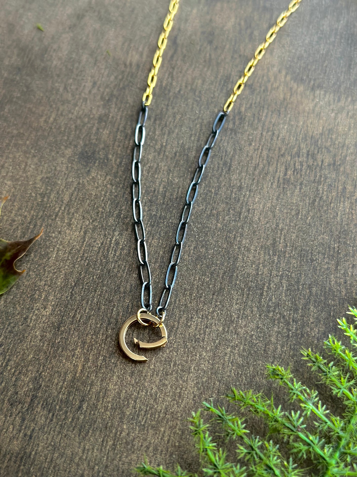 Charm/Ring Keeper Necklace