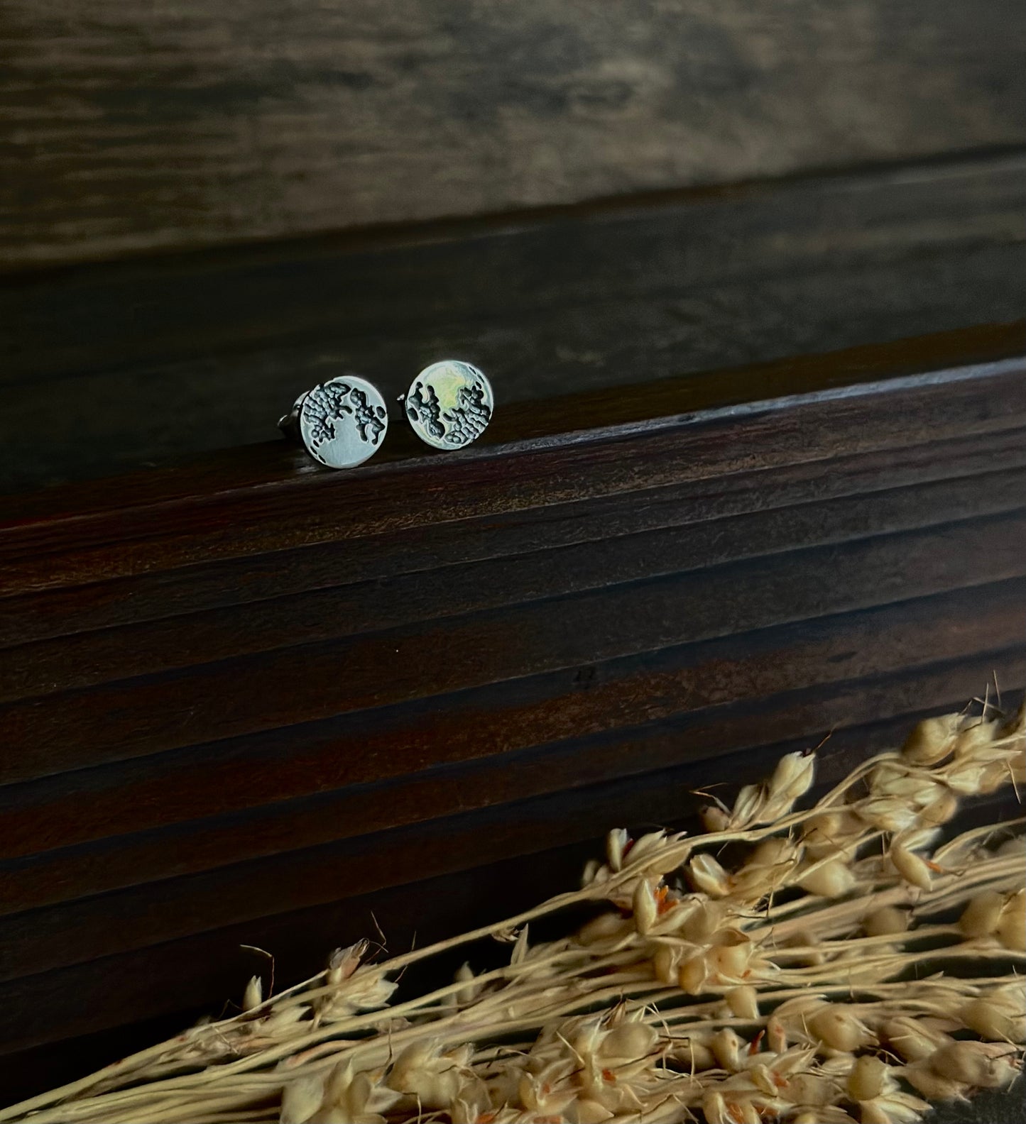 Full Moon Stud Earrings (Silver)