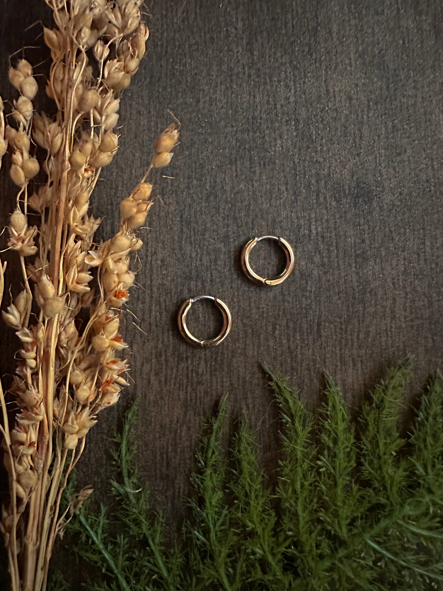 Bronze Huggie Hoops (11mm)