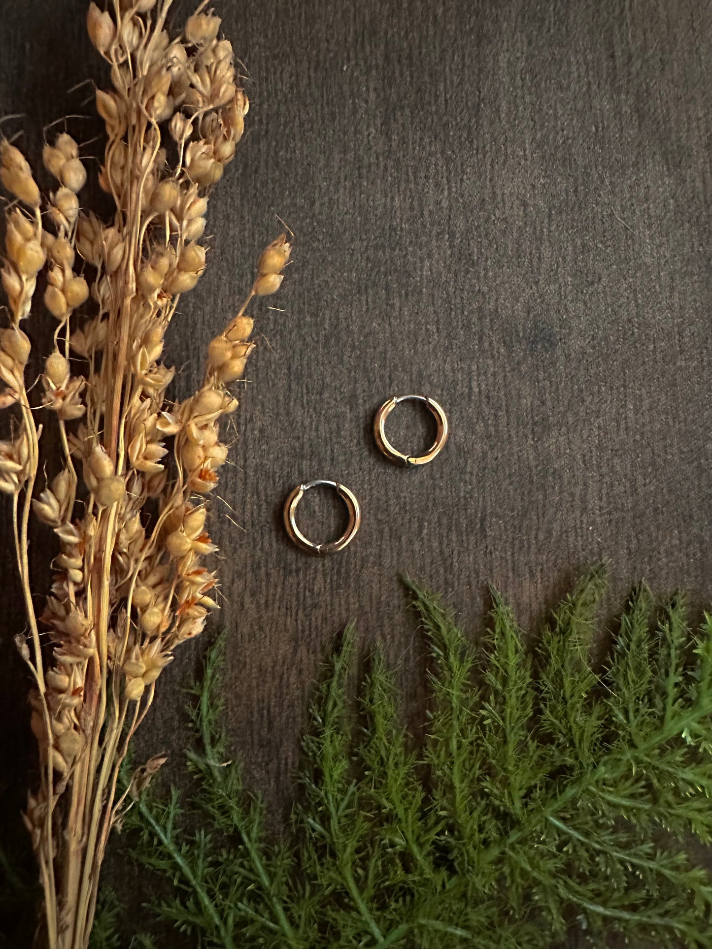 Bronze Huggie Hoops (11mm)