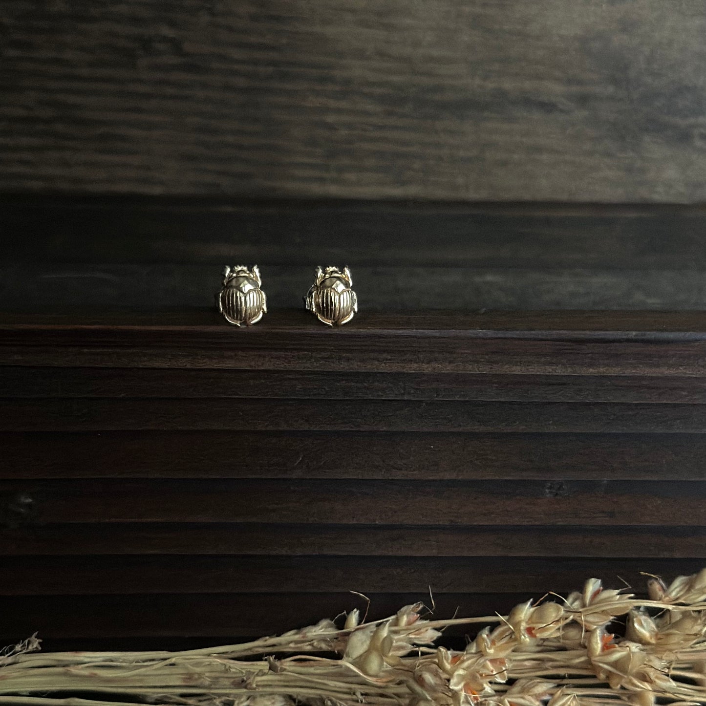 Scarab Beetle Stud Earrings (Bronze)