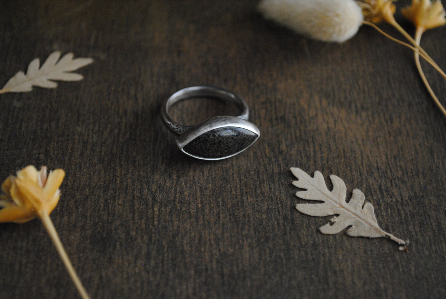 Agatized Dinosaur Bone Ring - Size 8.25