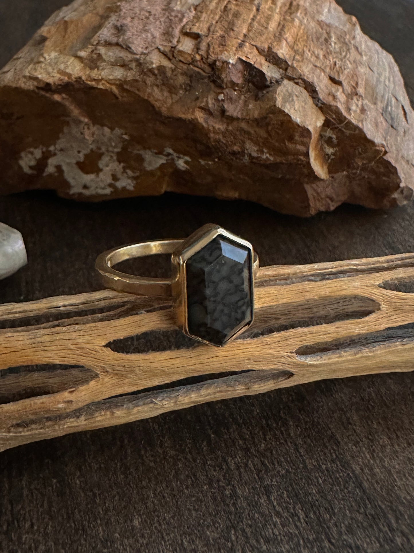 Agatized Dinosaur Bone Ring - Size 6