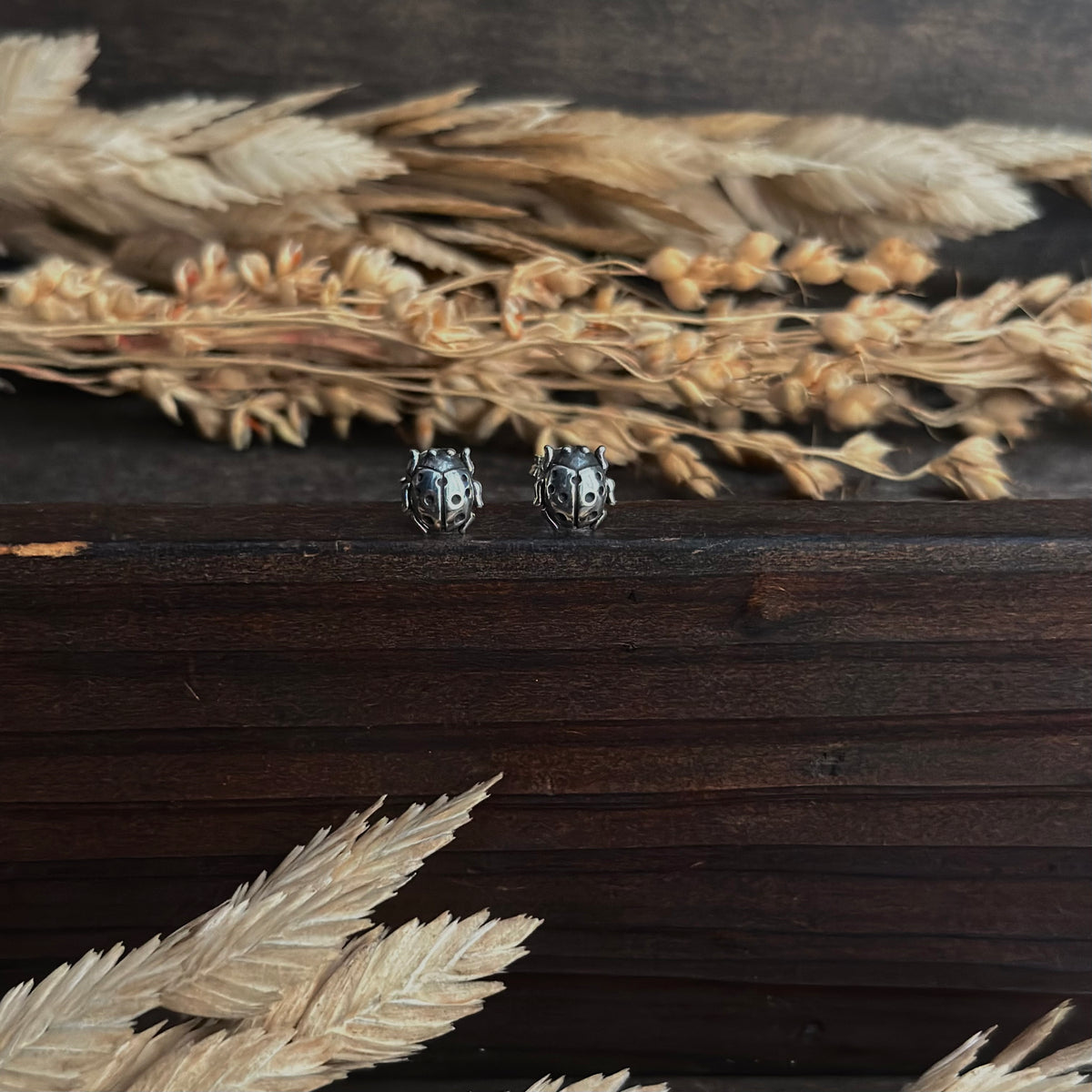 Lady Bug Stud Earrings