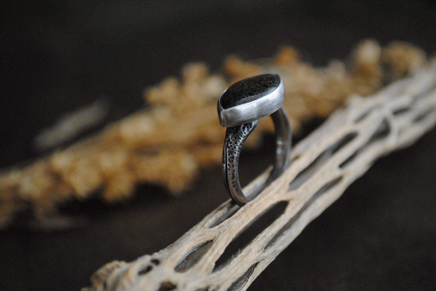 Agatized Dinosaur Bone Ring - Size 8.25