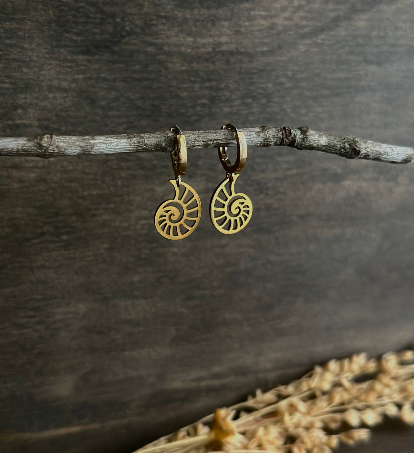 Ammonite Huggie Hoop