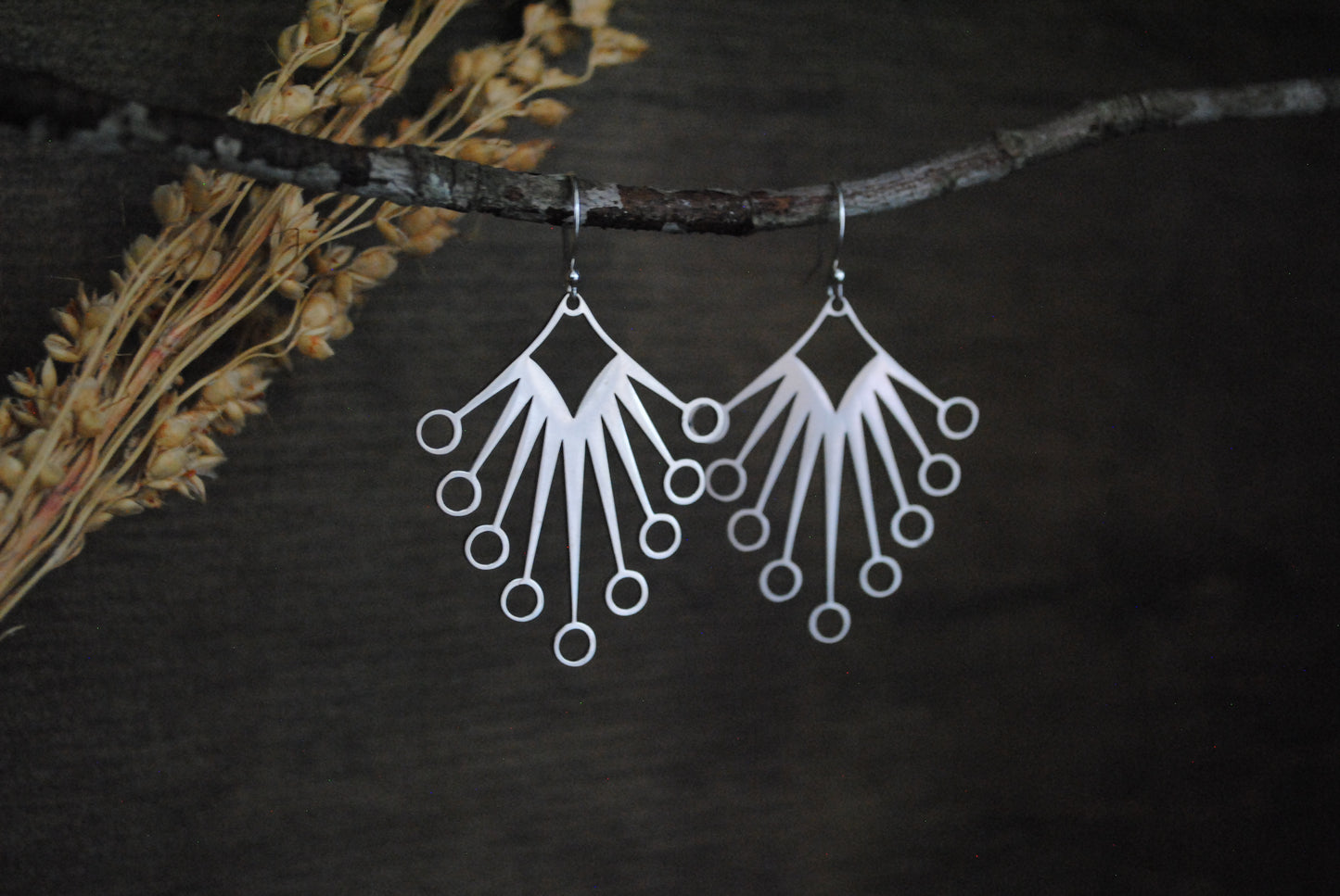 Where’d ya get those Earrings