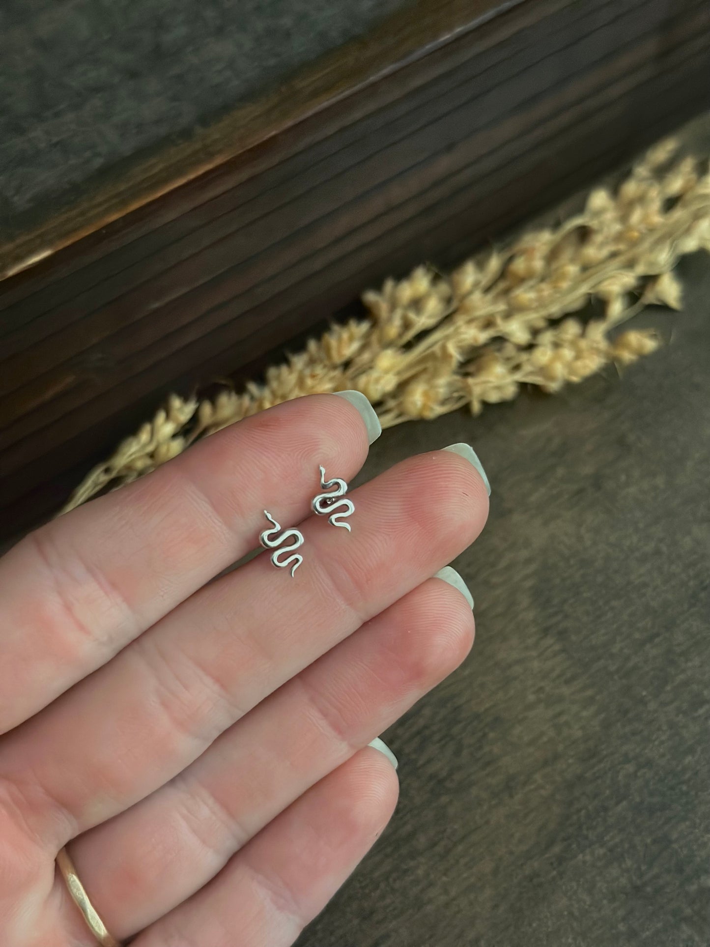 Tiny Snake Stud Earrings