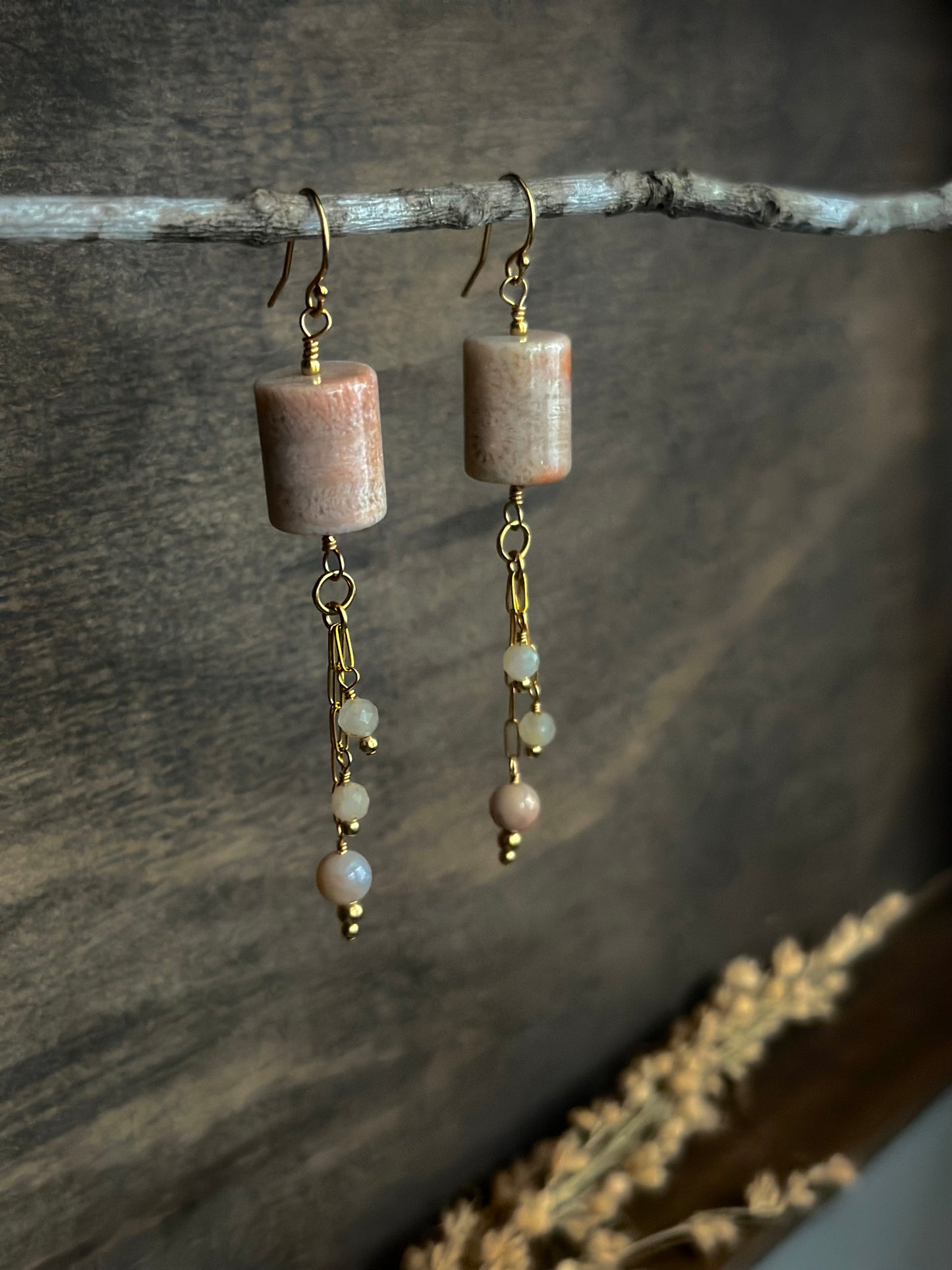 Fossil Coral & Pietersite Earrings