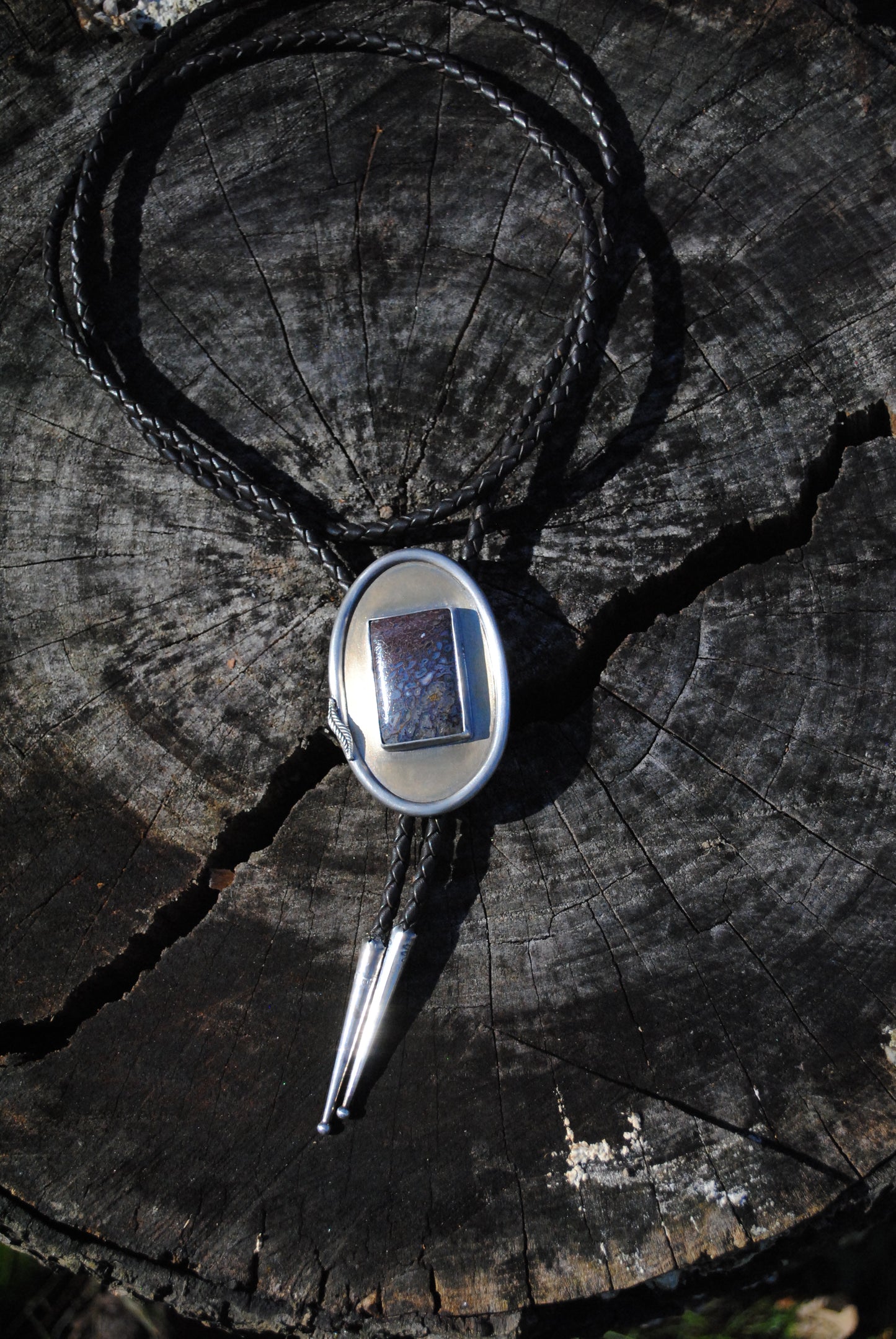 Agatized Dinosaur Bone Bolo Tie