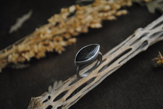 Agatized Dinosaur Bone Ring - Size 8.25