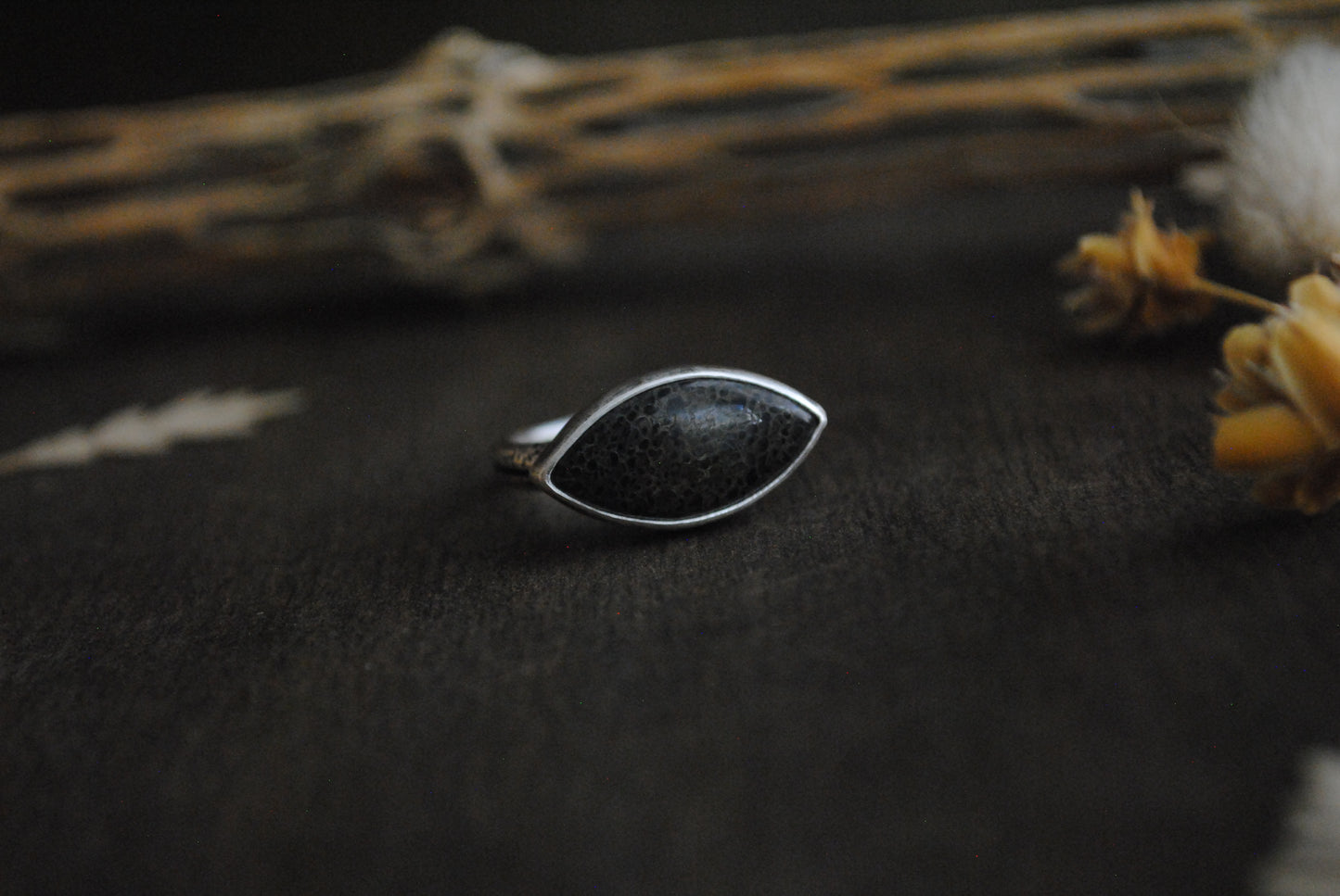 Agatized Dinosaur Bone Ring - Size 8.25