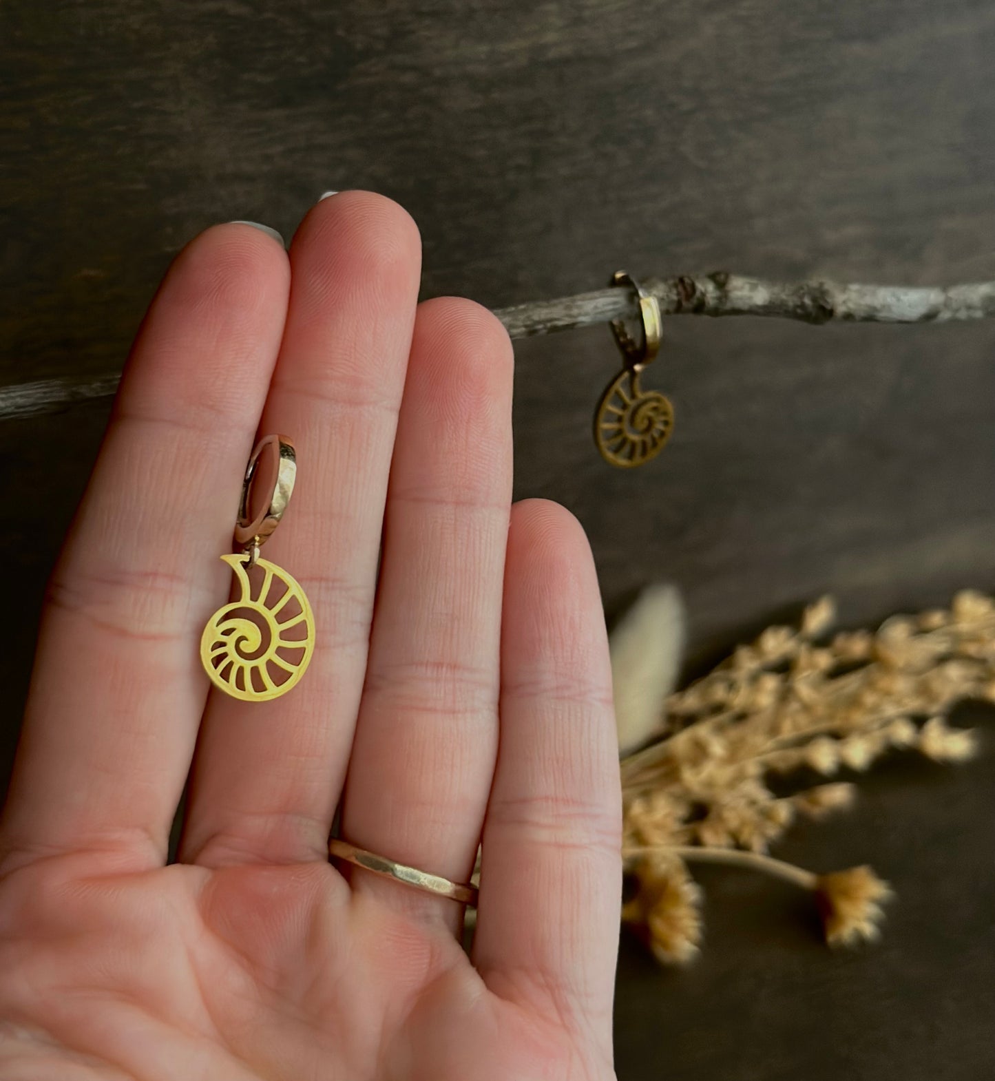 Ammonite Huggie Hoop