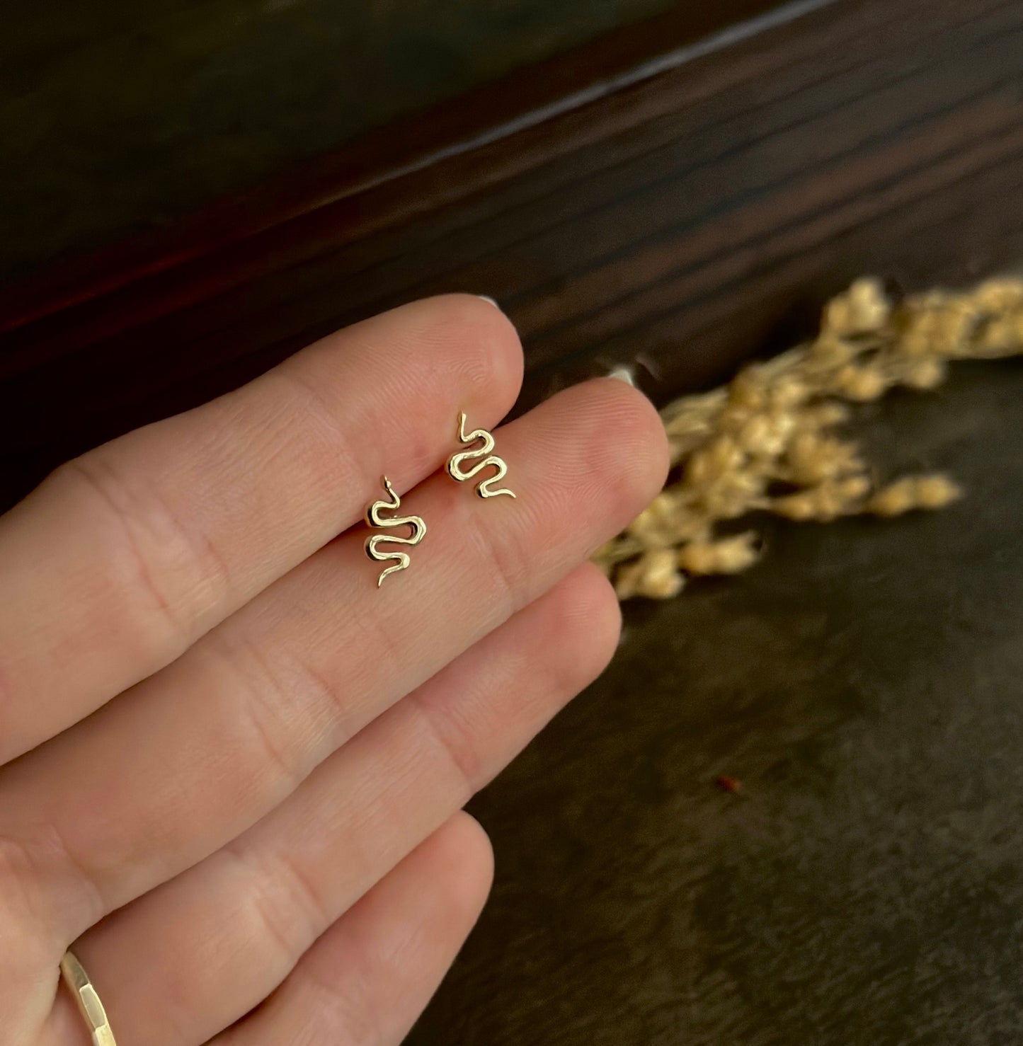 Tiny Snake Stud Earrings (Bronze)