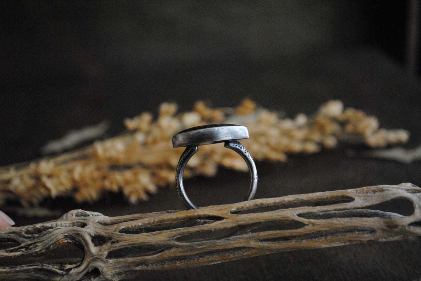 Agatized Dinosaur Bone Ring - Size 8.25