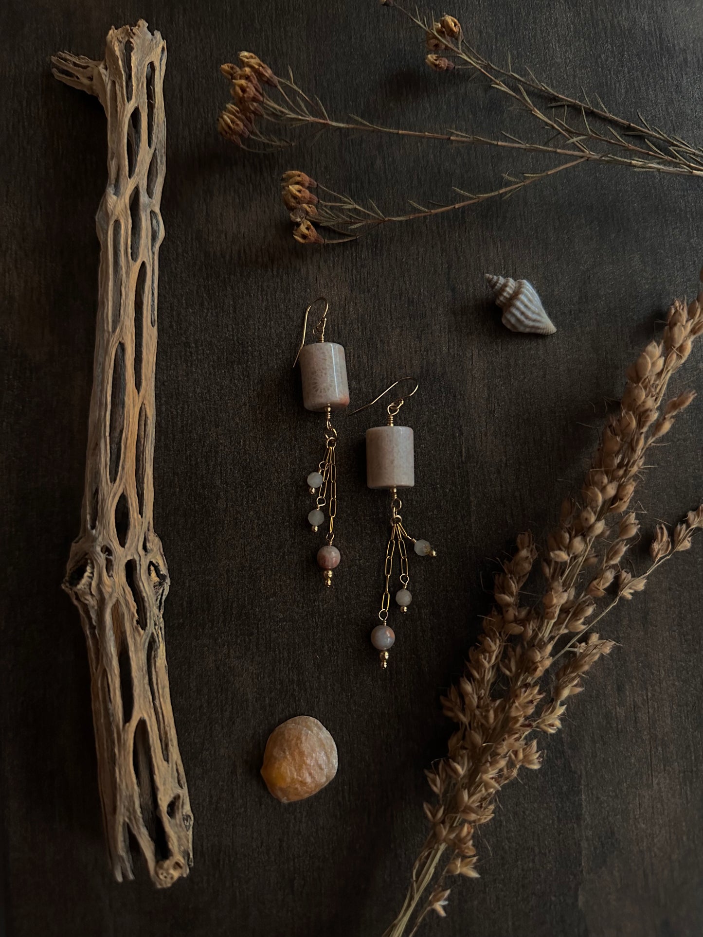 Fossil Coral & Pietersite Earrings