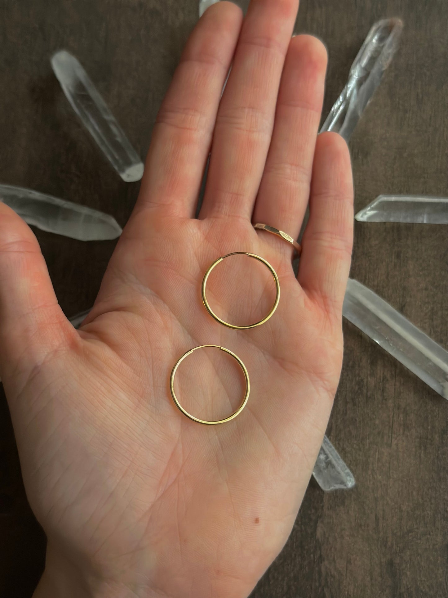 Gold Filled Endless Hoops (20mm)