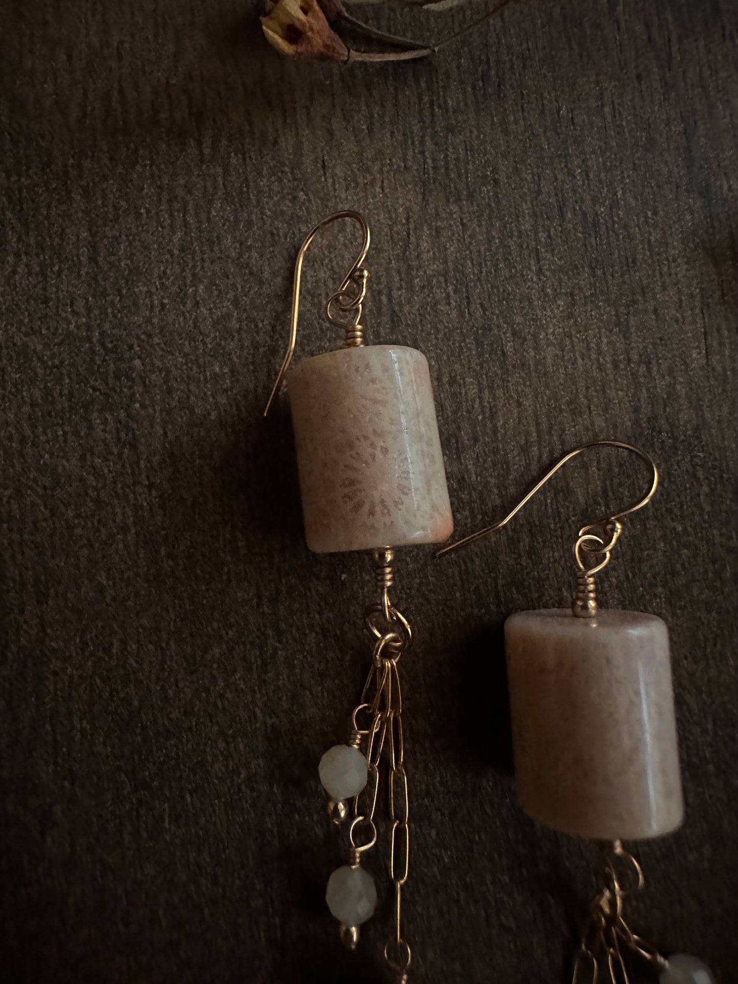 Fossil Coral & Pietersite Earrings