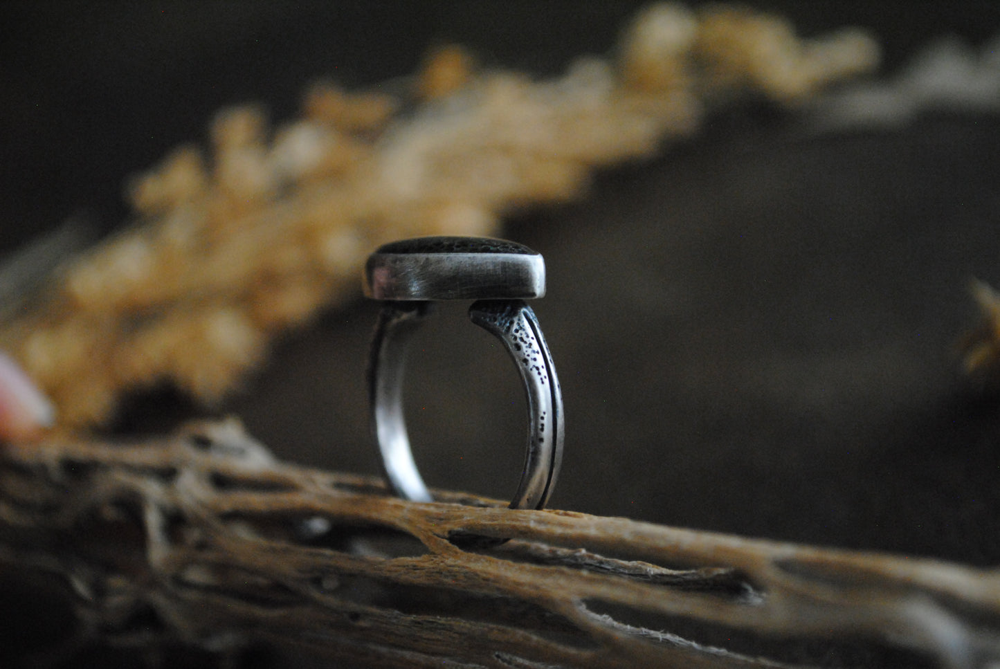 Agatized Dinosaur Bone Ring - Size 8.25