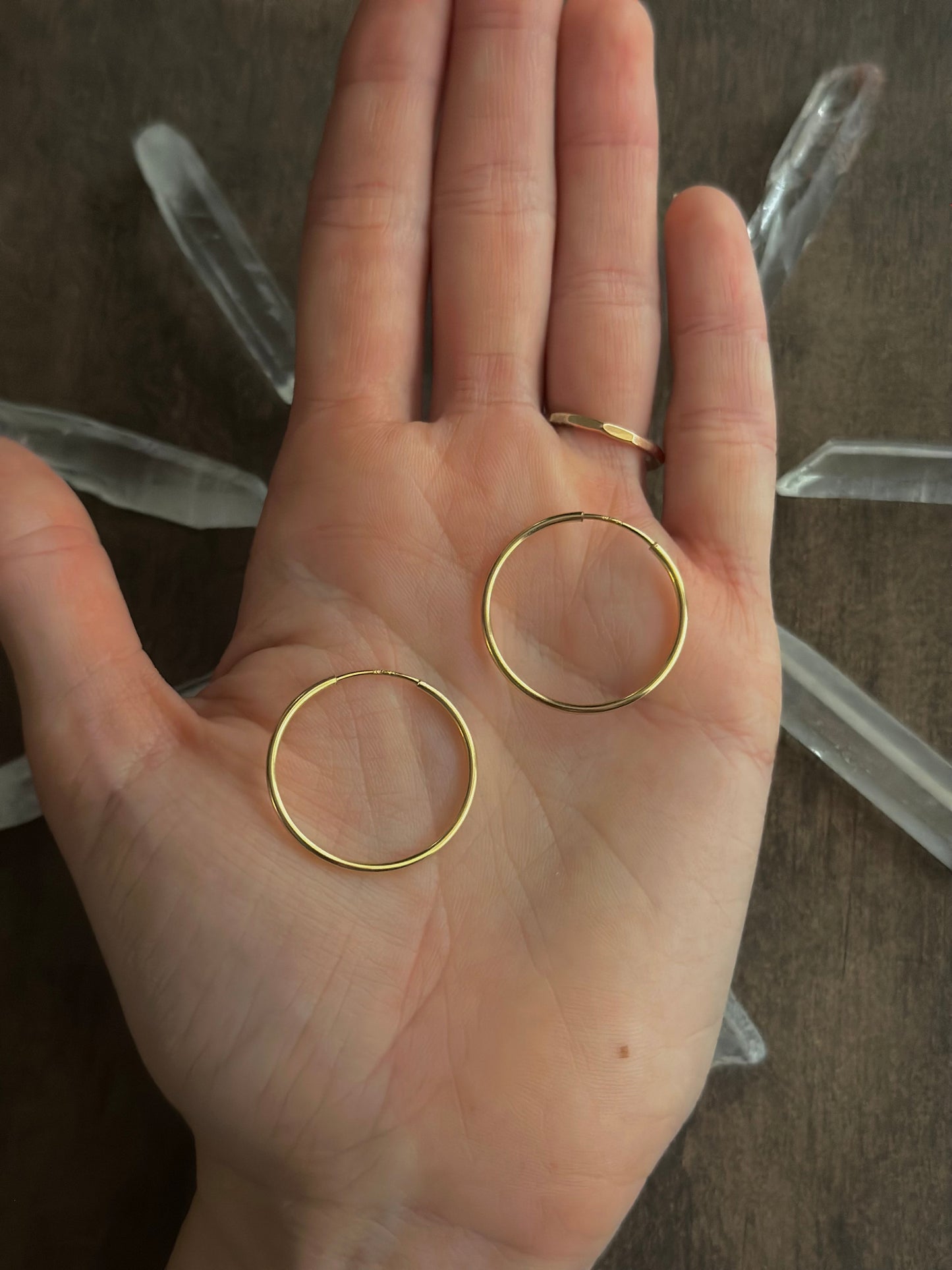 Gold Filled Endless Hoops (24mm)