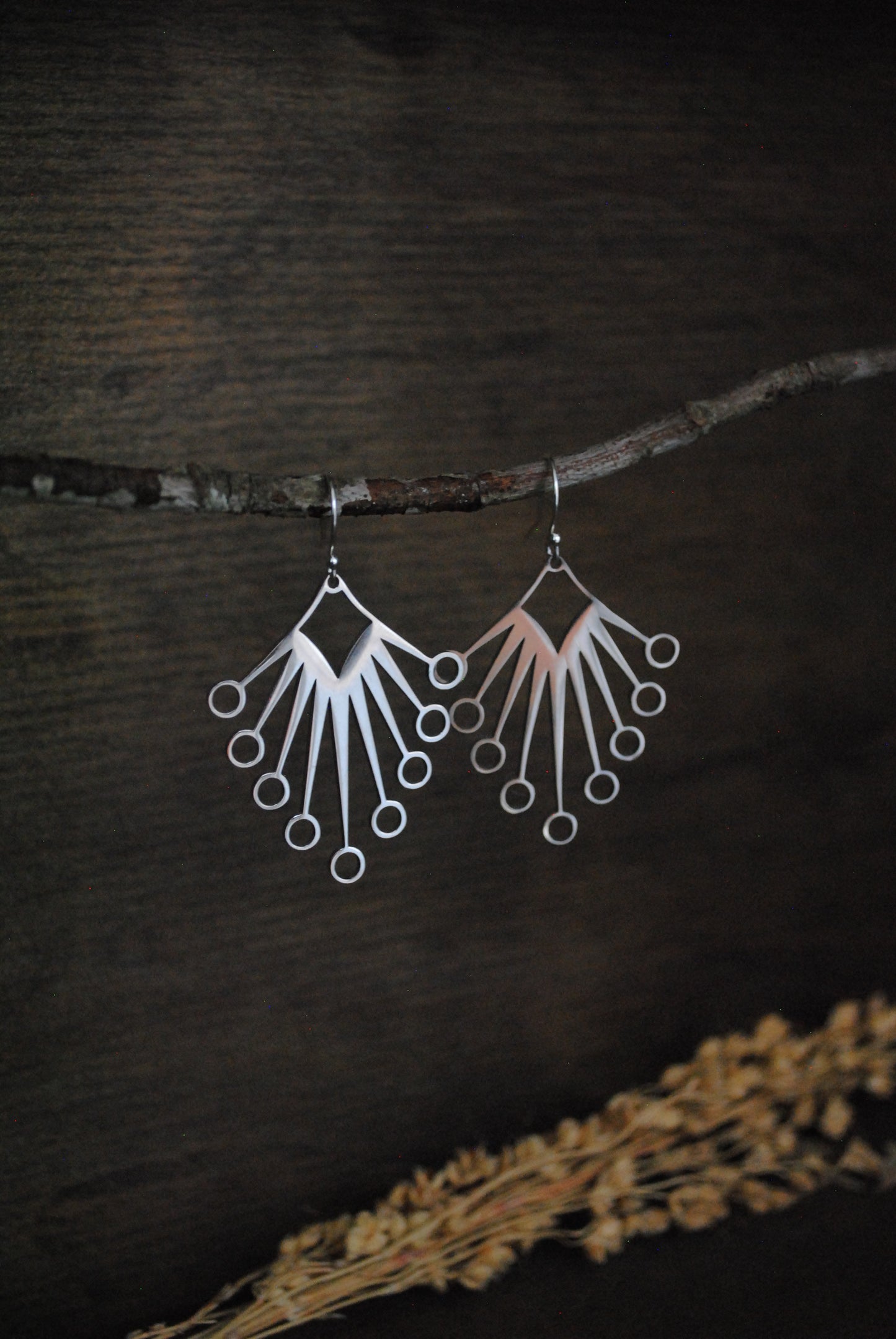 Where’d ya get those Earrings