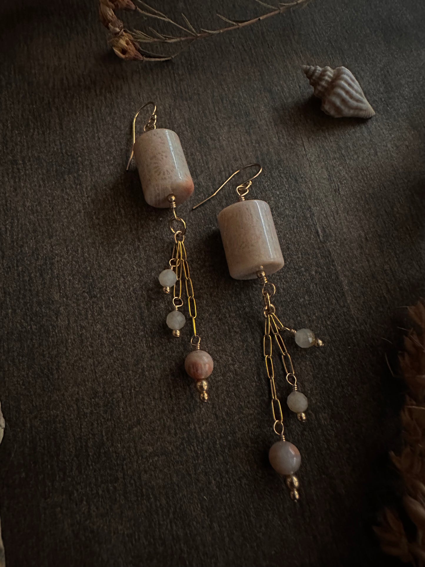 Fossil Coral & Pietersite Earrings