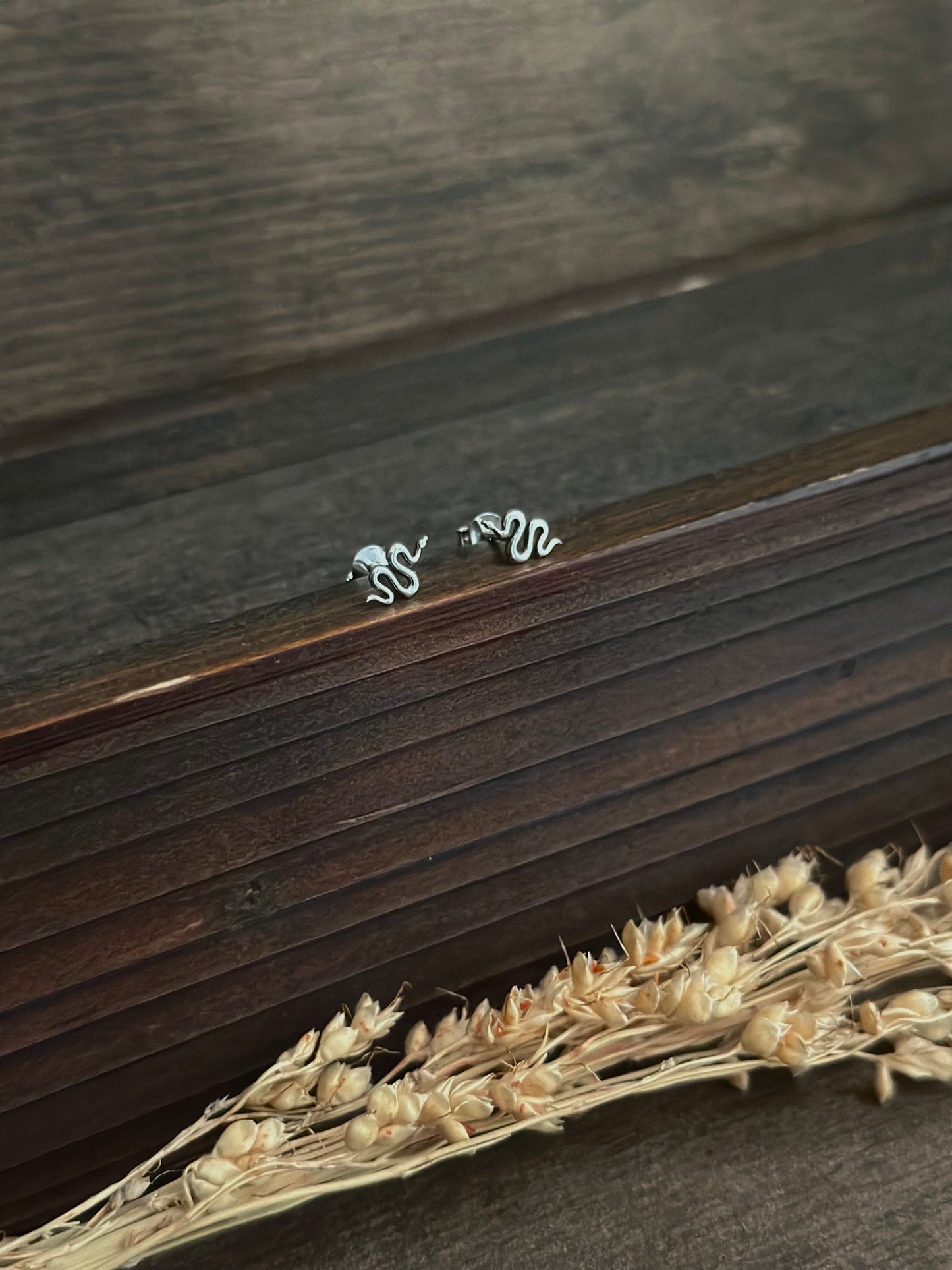 Tiny Snake Stud Earrings