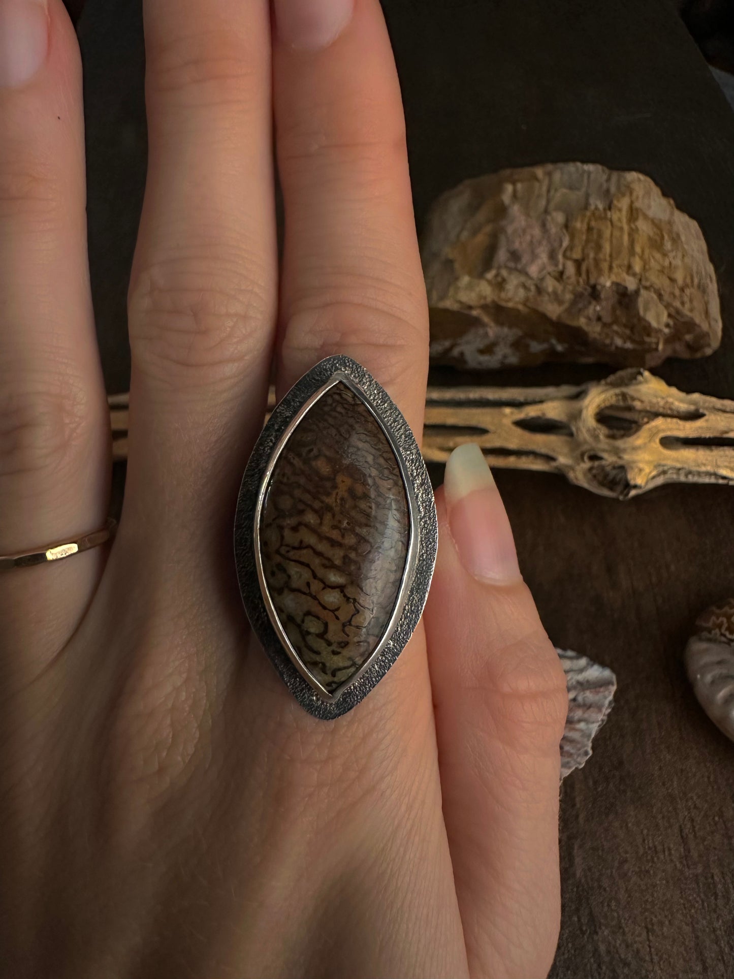 Agatized Dinosaur Bone Ring - Size 7.75