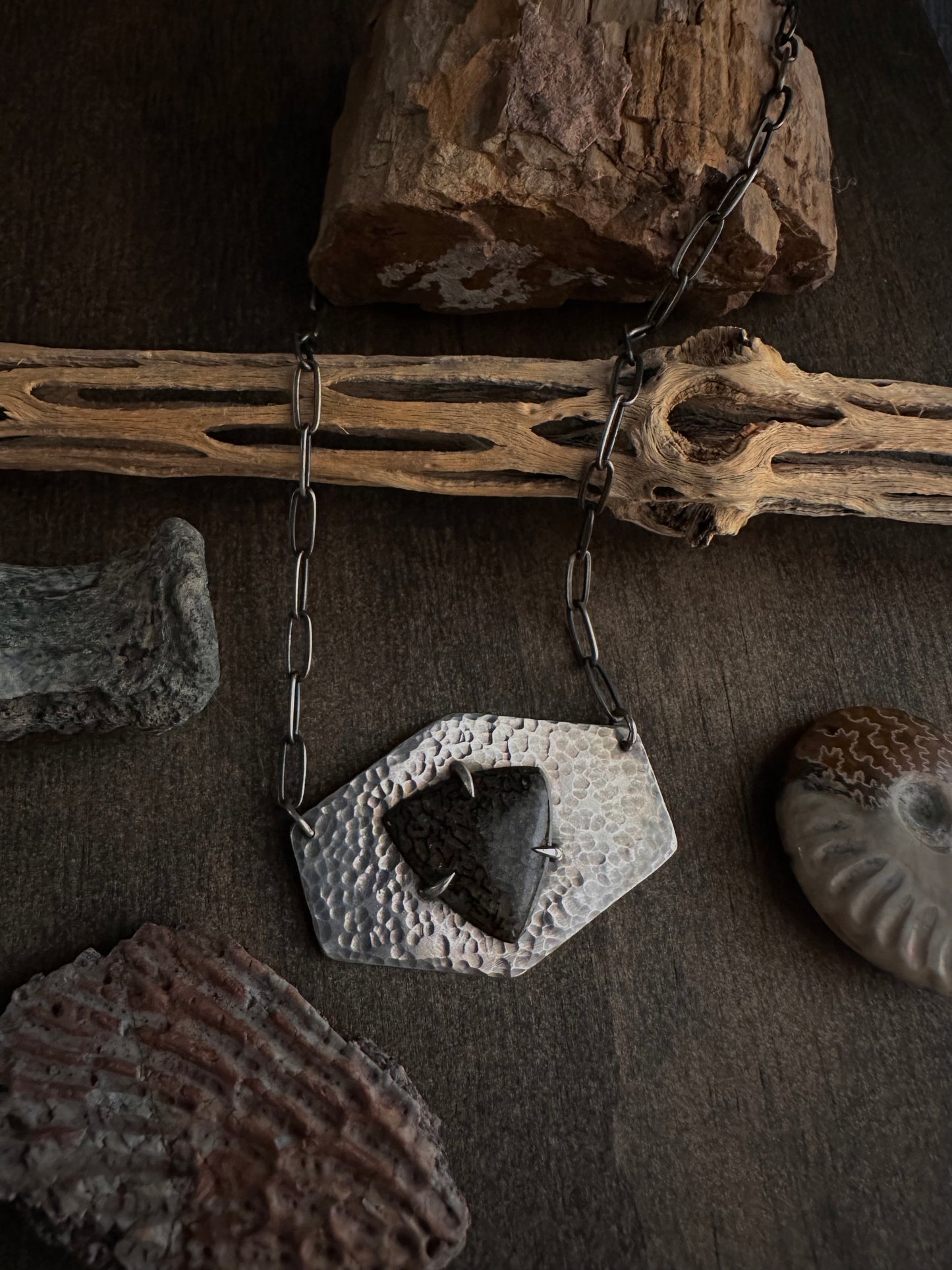 Agatized Dinosaur Bone Necklace