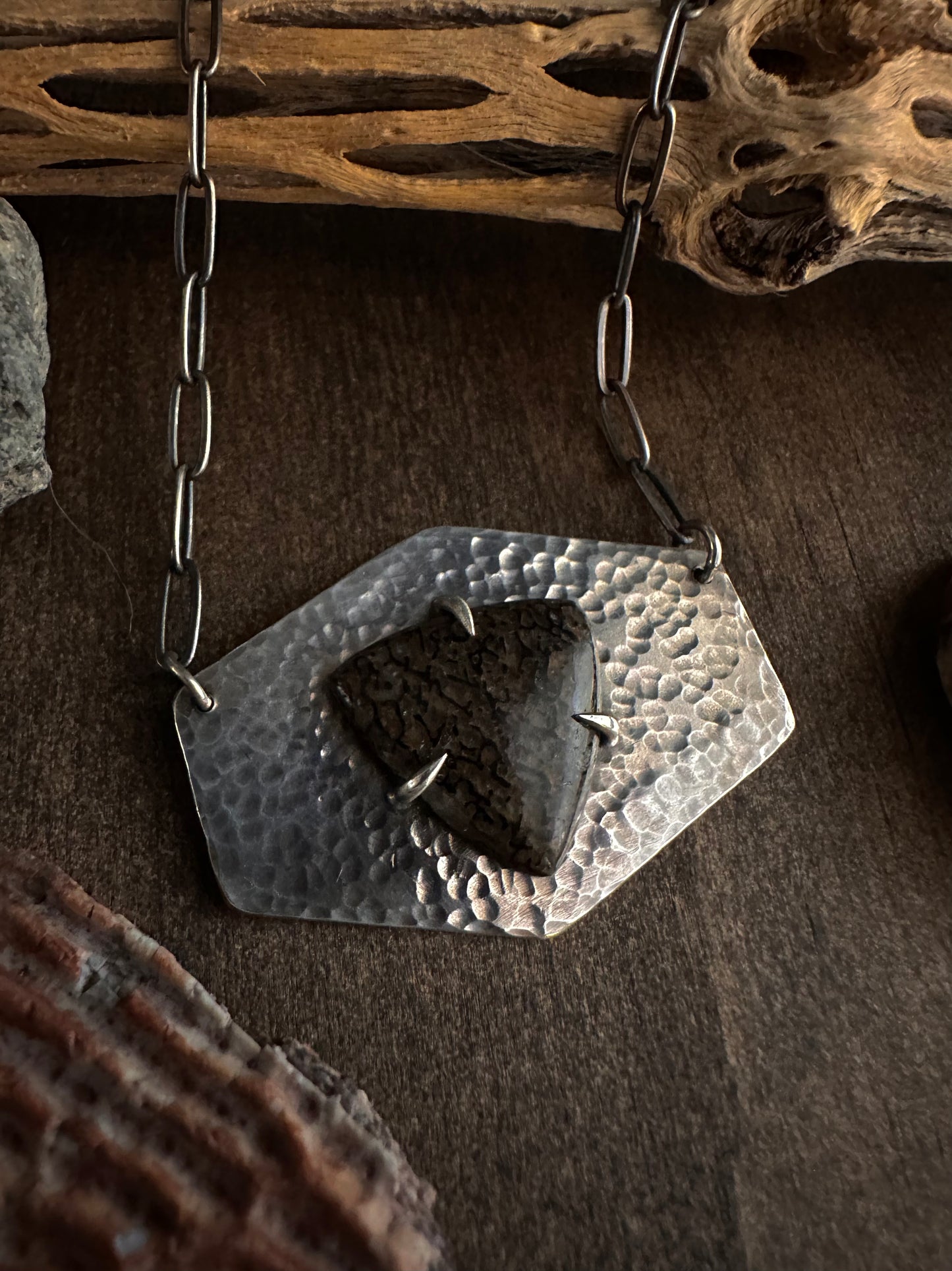 Agatized Dinosaur Bone Necklace