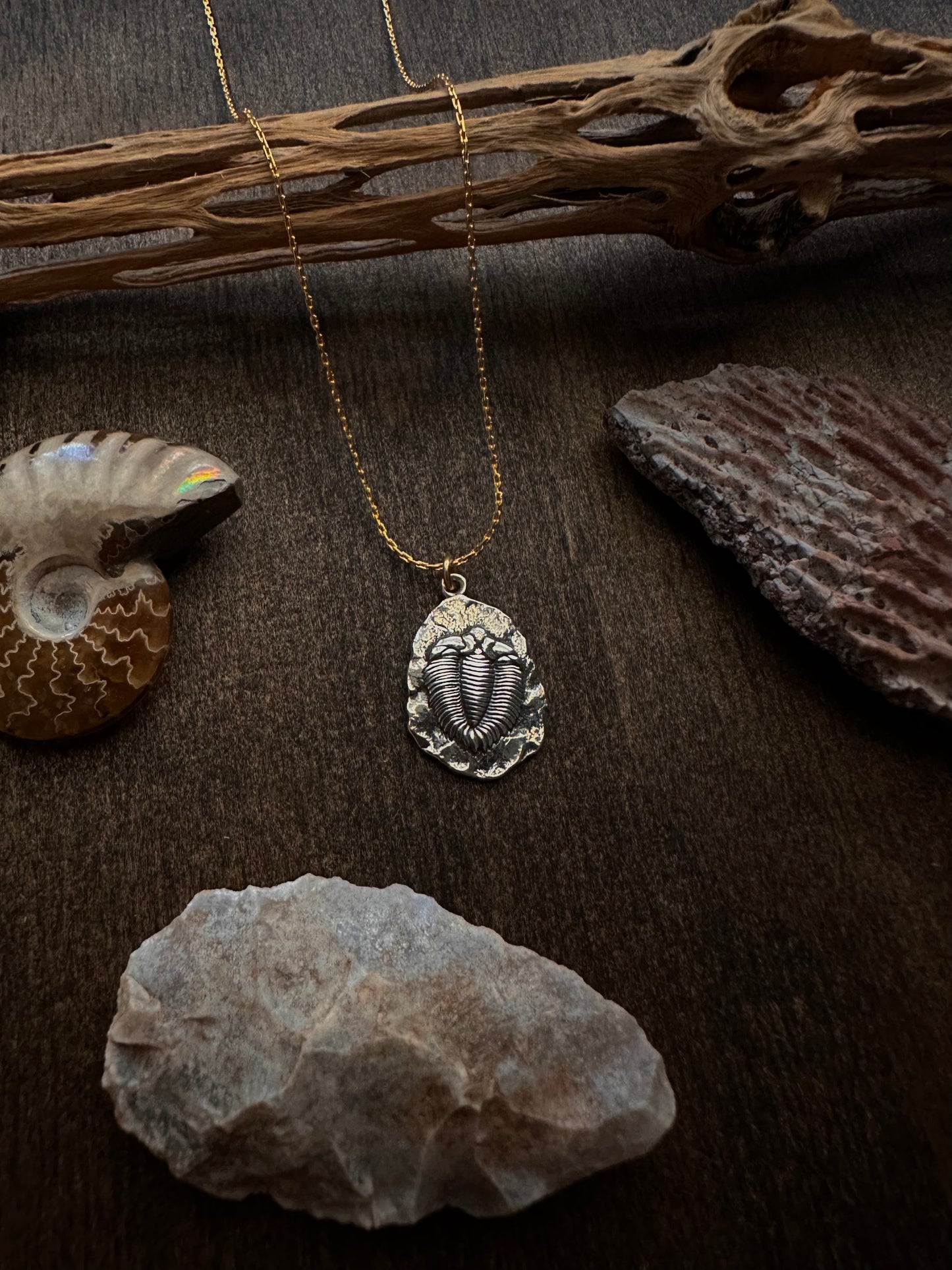 Trilobite Fossil Necklace