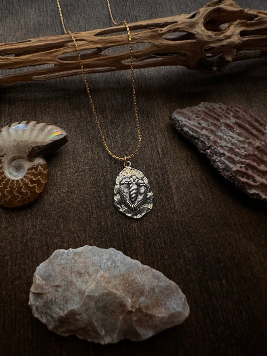 Trilobite Fossil Necklace