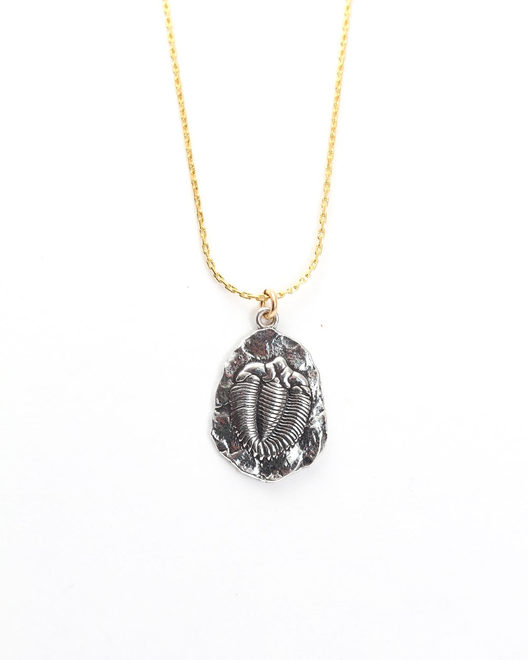 Trilobite Fossil Necklace