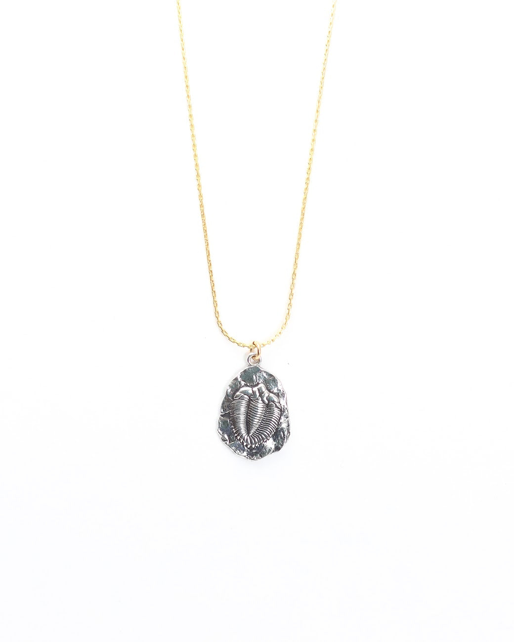 Trilobite Fossil Necklace