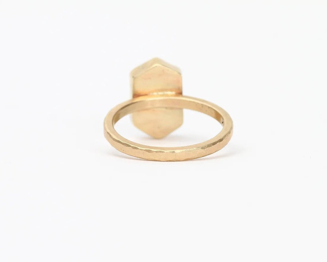 Agatized Dinosaur Bone Ring - Size 6