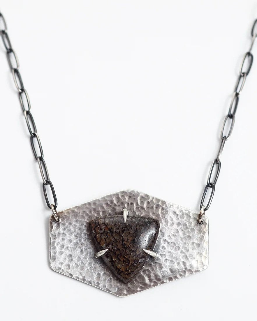 Agatized Dinosaur Bone Necklace