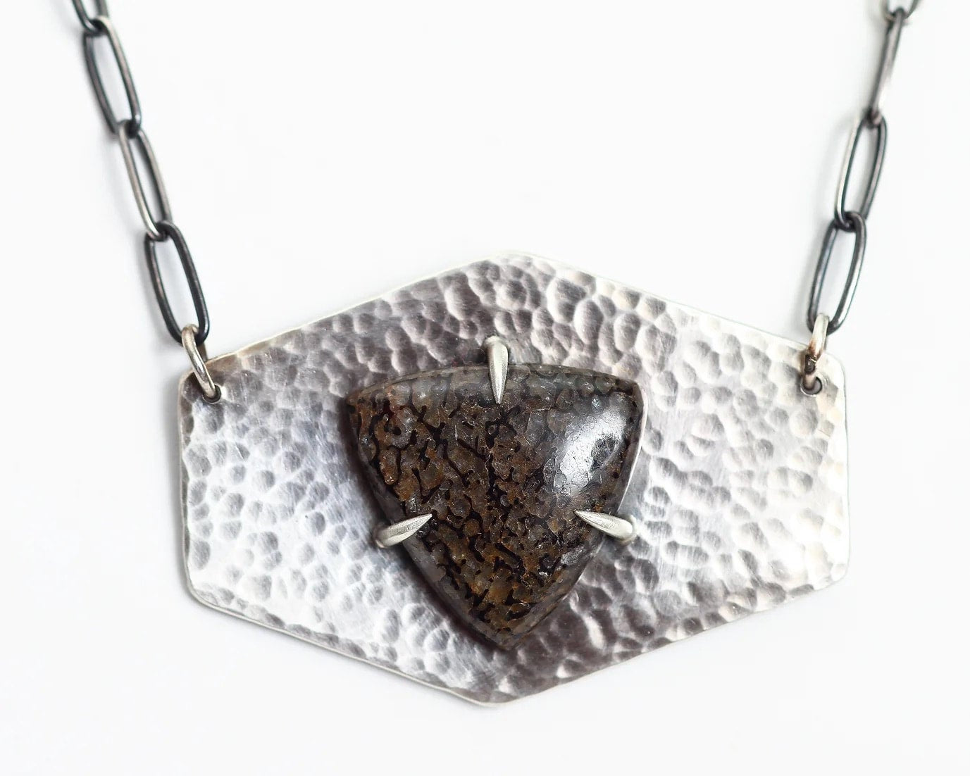 Agatized Dinosaur Bone Necklace