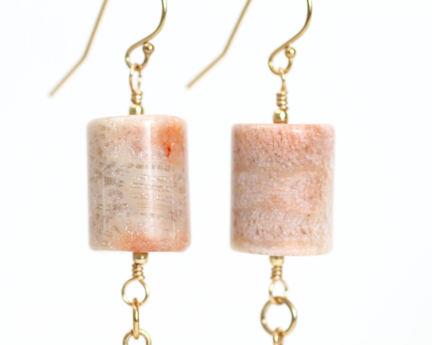 Fossil Coral & Pietersite Earrings