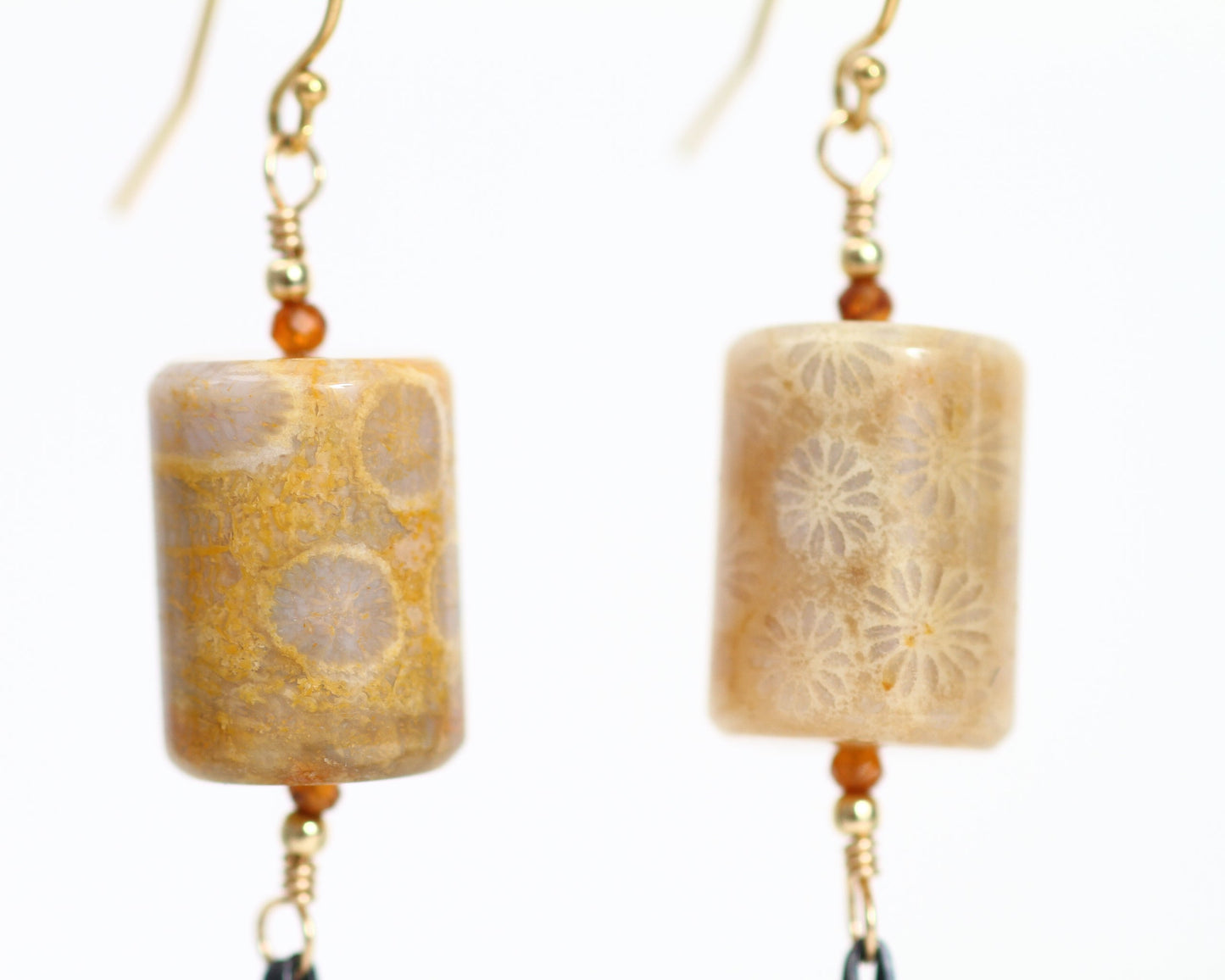 Fossil Coral Earrings