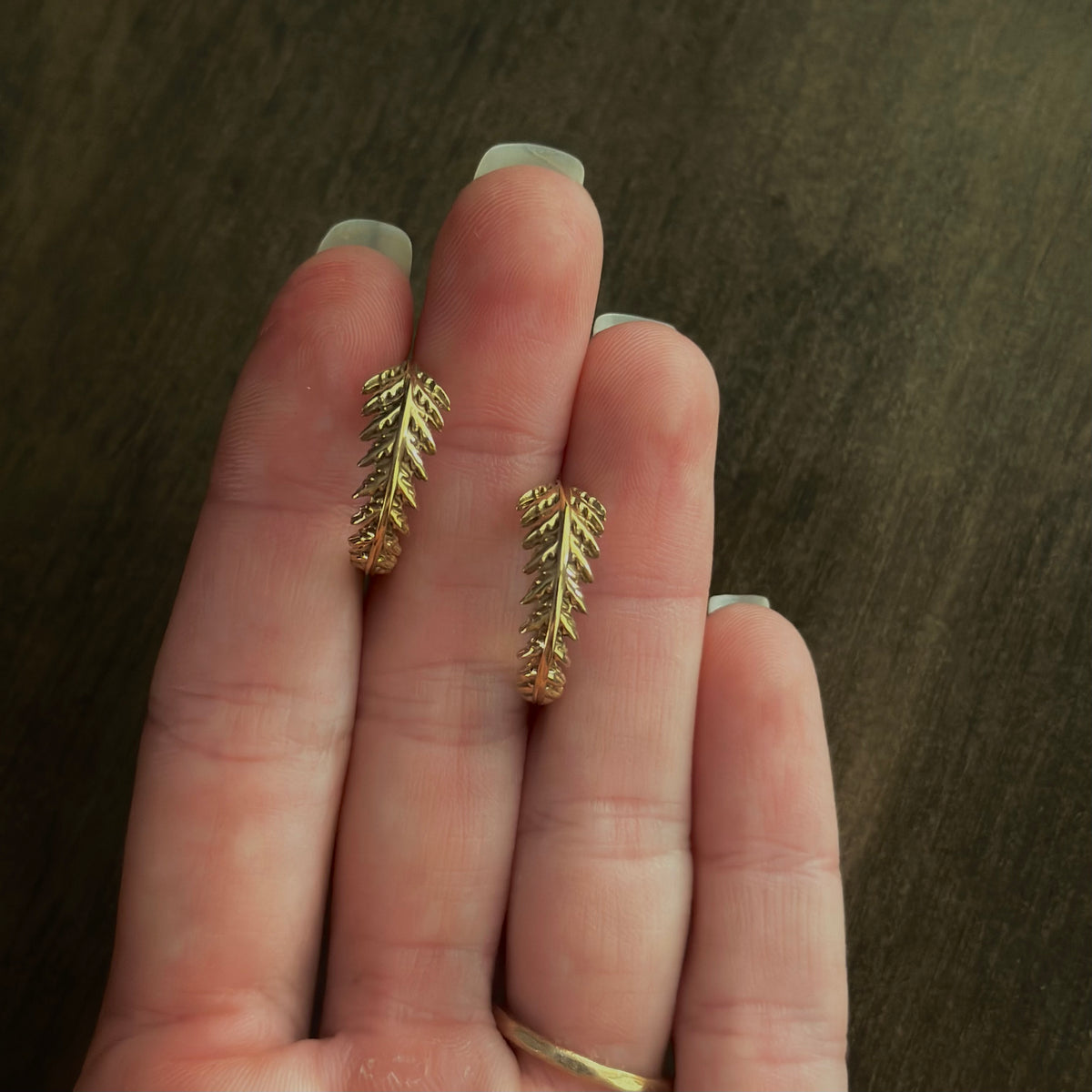 Fern Hoops (Bronze)