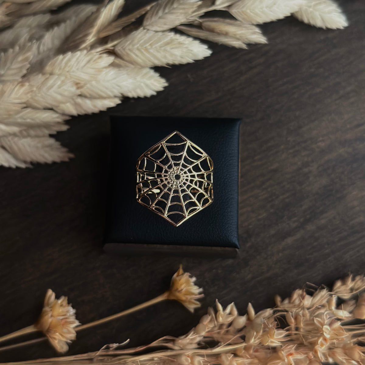 Spider Web Ring