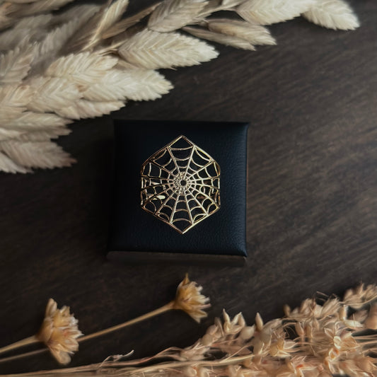 Spider Web Ring
