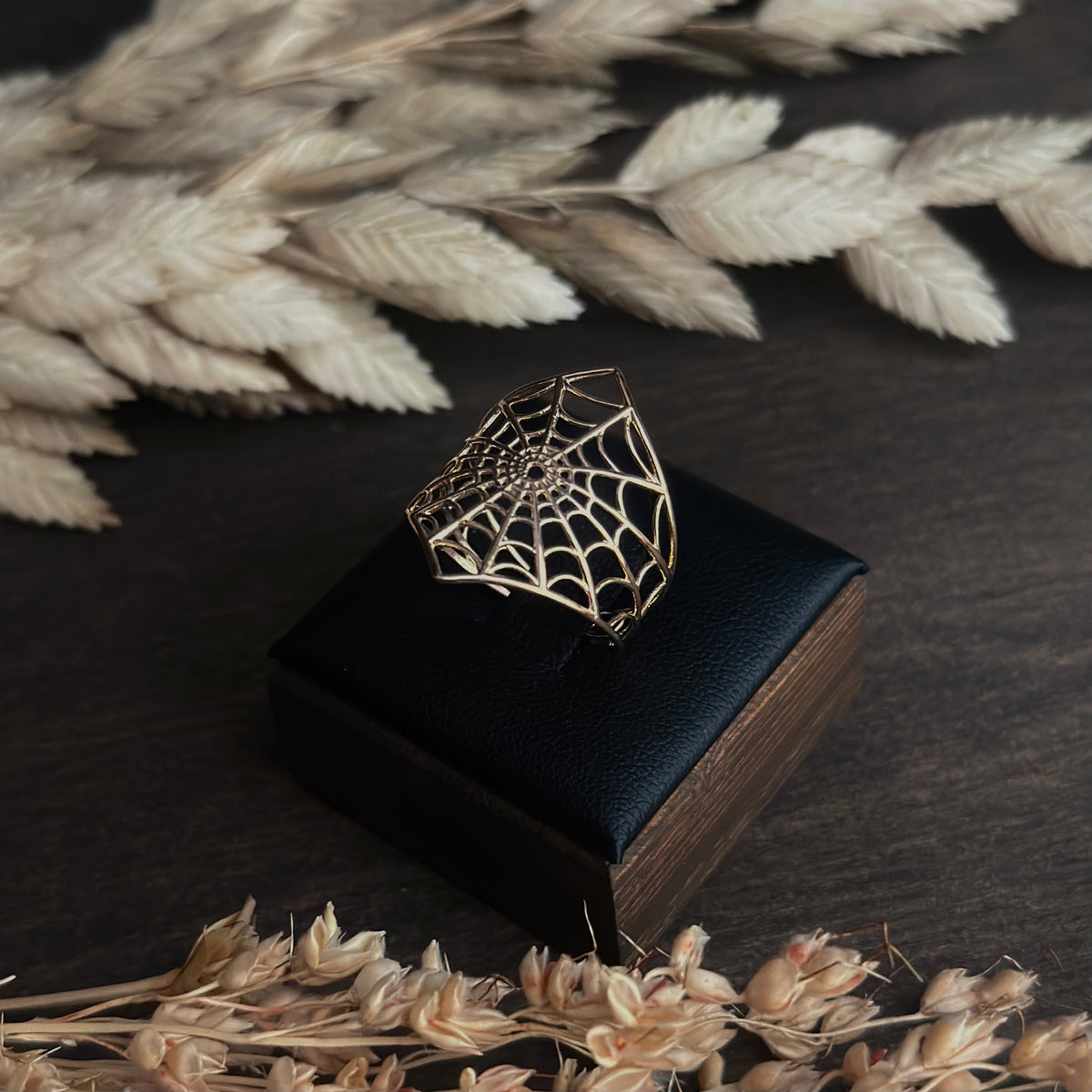 Spider Web Ring